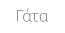 Γάτα